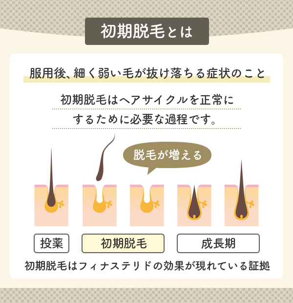 初期脱毛の説明