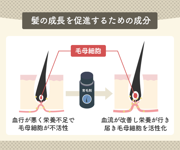 髪の成長を促進するための成分